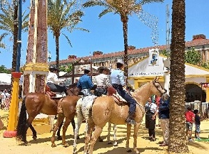 Cavalli andalusi alla Feria del Caballo di Jerez